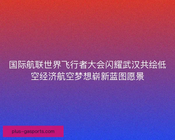 国际航联世界飞行者大会闪耀武汉共绘低空经济航空梦想崭新蓝图愿景